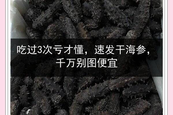 吃过3次亏才懂，速发干海参，千万别图便宜
