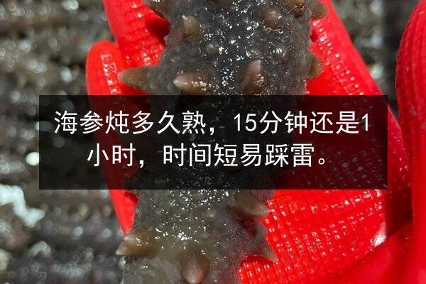 海参炖多久熟,15分钟还是1小时,时间短易踩雷。