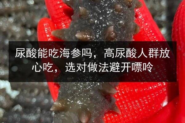 尿酸能吃海参吗,高尿酸人群放心吃,选对做法避开嘌呤