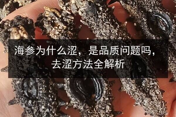 海参为什么涩，是品质问题吗，去涩方法全解析