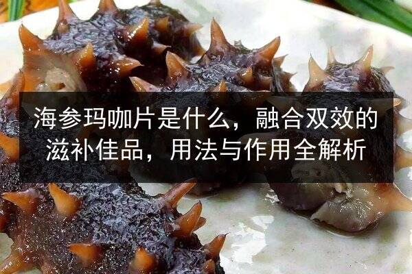 海参玛咖片是什么，融合双效的滋补佳品，用法与作用全解析