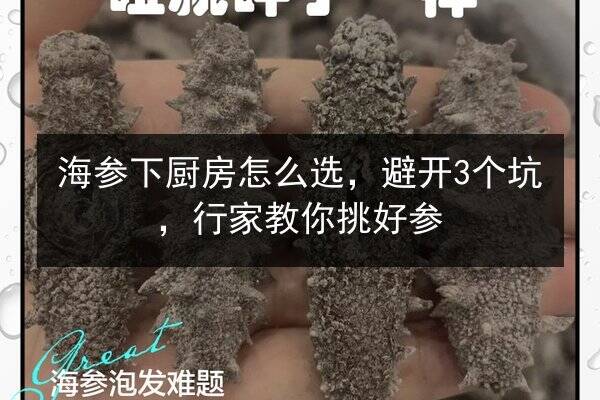 海参下厨房怎么选,避开3个坑,行家教你挑好参