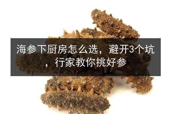 海参下厨房怎么选,避开3个坑,行家教你挑好参