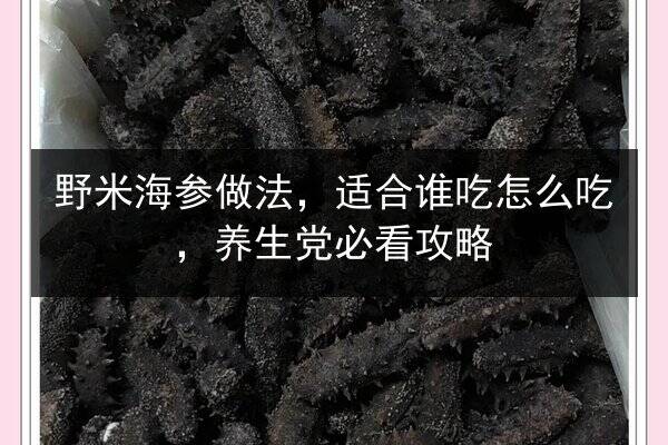 野米海参做法，适合谁吃怎么吃，养生党必看攻略