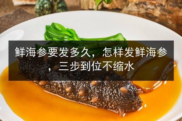 鲜海参要发多久，怎样发鲜海参，三步到位不缩水