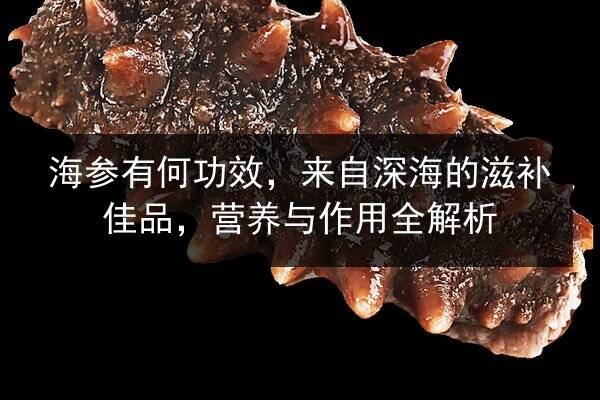 海参有何功效，来自深海的滋补佳品，营养与作用全解析
