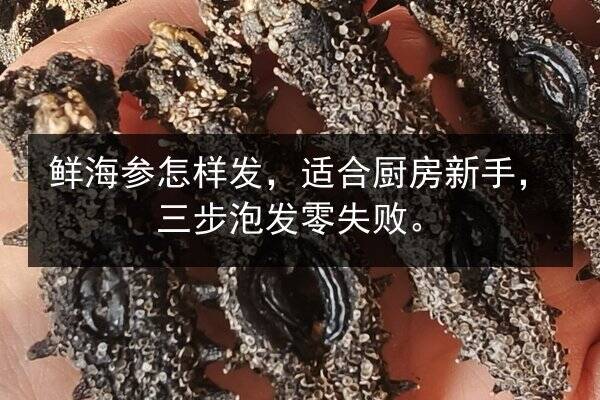 鲜海参怎样发,适合厨房新手,三步泡发零失败。