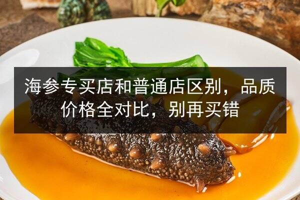 海参专买店和普通店区别，品质价格全对比，别再买错
