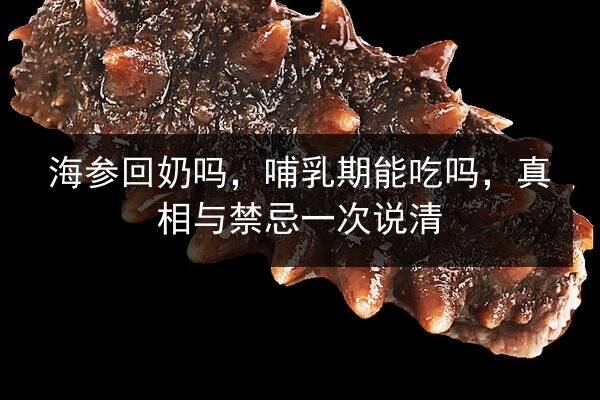海参回奶吗,哺乳期能吃吗,真相与禁忌一次说清