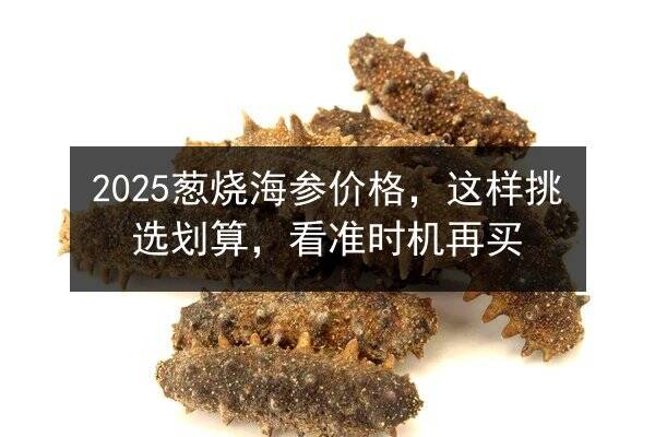 2025葱烧海参价格，这样挑选划算，看准时机再买