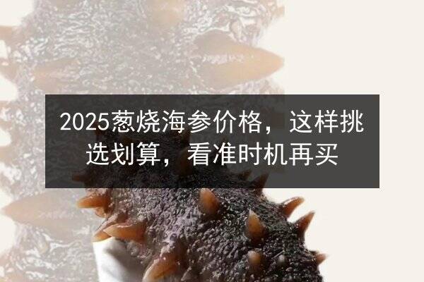 2025葱烧海参价格，这样挑选划算，看准时机再买