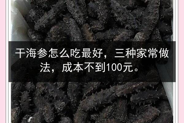 干海参怎么吃最好，三种家常做法，成本不到100元。