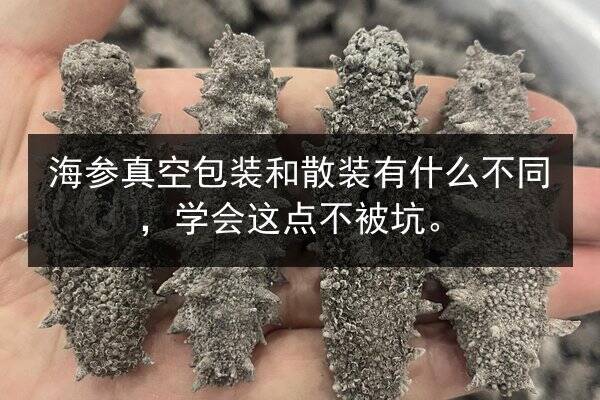 海参真空包装和散装有什么不同，学会这点不被坑。
