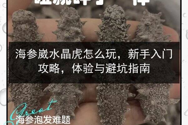 海参崴水晶虎怎么玩,新手入门攻略,体验与避坑指南