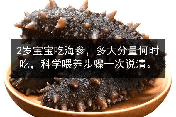 2岁宝宝吃海参，多大分量何时吃，科学喂养步骤一次说清。