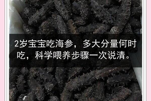 2岁宝宝吃海参，多大分量何时吃，科学喂养步骤一次说清。