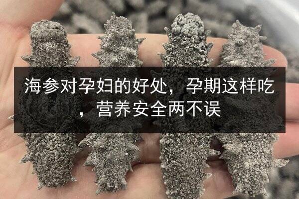 海参对孕妇的好处，孕期这样吃，营养安全两不误