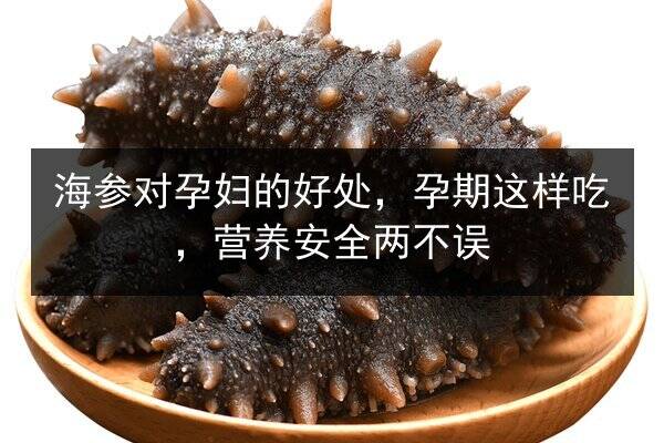海参对孕妇的好处，孕期这样吃，营养安全两不误