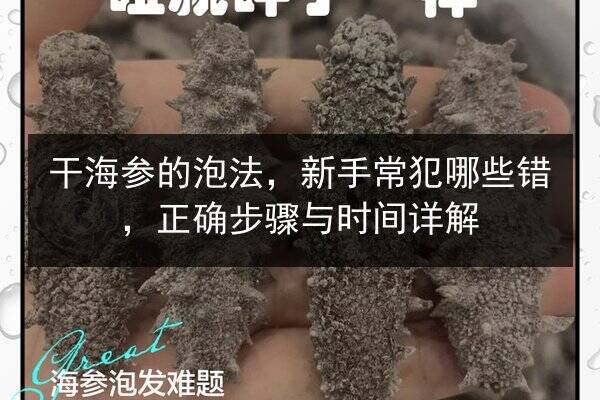 干海参的泡法,新手常犯哪些错,正确步骤与时间详解