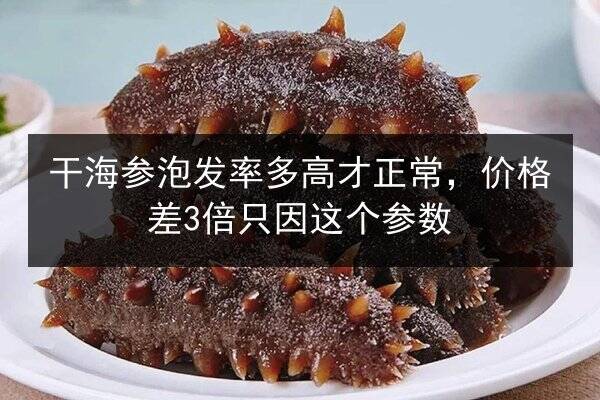 干海参泡发率多高才正常,价格差3倍只因这个参数