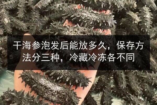 干海参泡发后能放多久，保存方法分三种，冷藏冷冻各不同