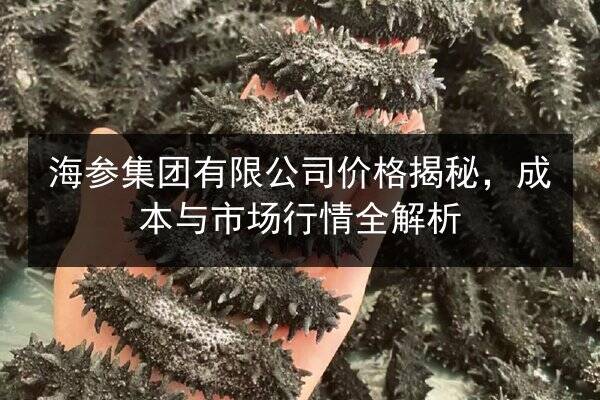 海参集团有限公司价格揭秘,成本与市场行情全解析