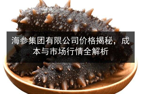 海参集团有限公司价格揭秘,成本与市场行情全解析