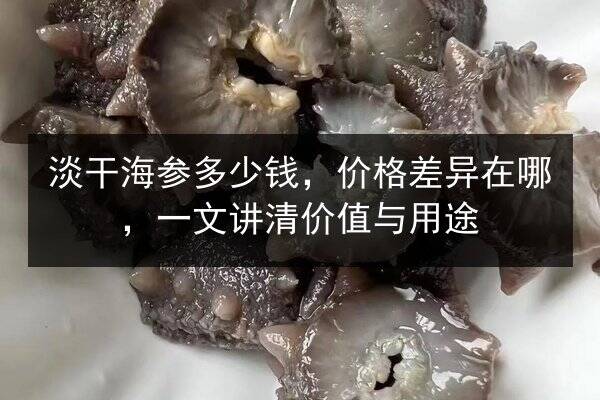 淡干海参多少钱,价格差异在哪,一文讲清价值与用途
