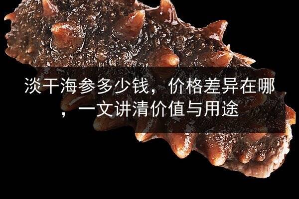 淡干海参多少钱,价格差异在哪,一文讲清价值与用途
