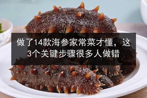 做了14款海参家常菜才懂，这3个关键步骤很多人做错