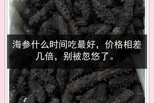 海参什么时间吃最好，价格相差几倍，别被忽悠了。