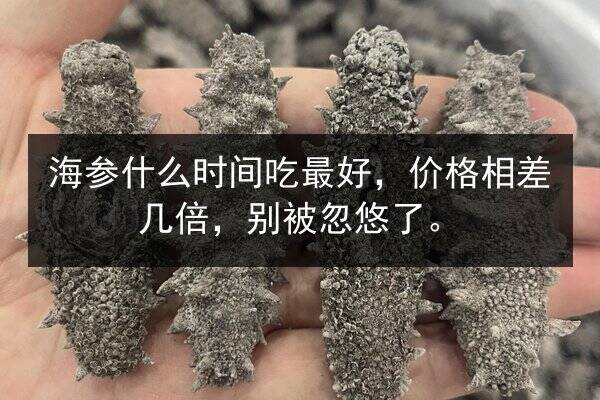 海参什么时间吃最好，价格相差几倍，别被忽悠了。