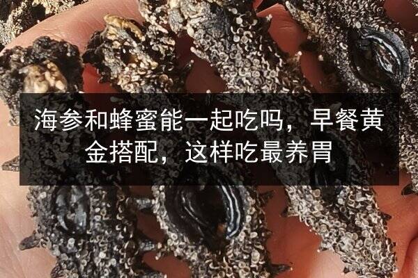 海参和蜂蜜能一起吃吗,早餐黄金搭配,这样吃最养胃