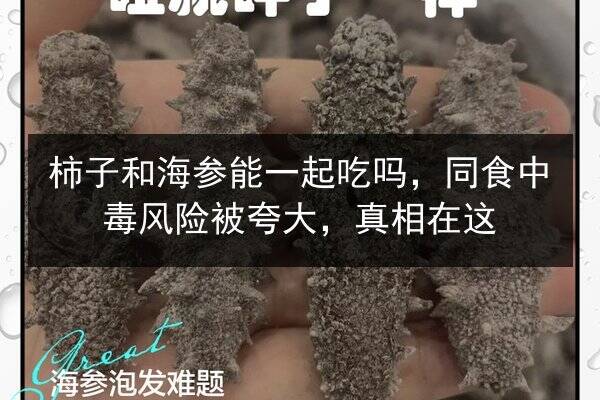 柿子和海参能一起吃吗,同食中毒风险被夸大,真相在这