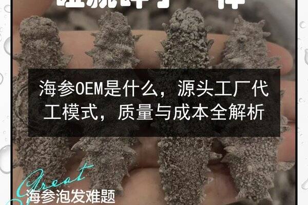 海参OEM是什么,源头工厂代工模式,质量与成本全解析