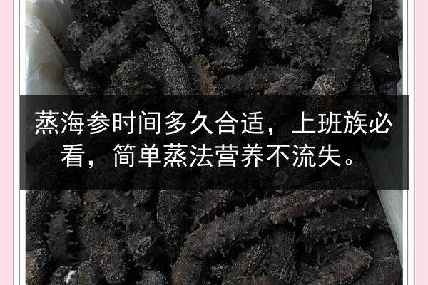 蒸海参时间多久合适，上班族必看，简单蒸法营养不流失。