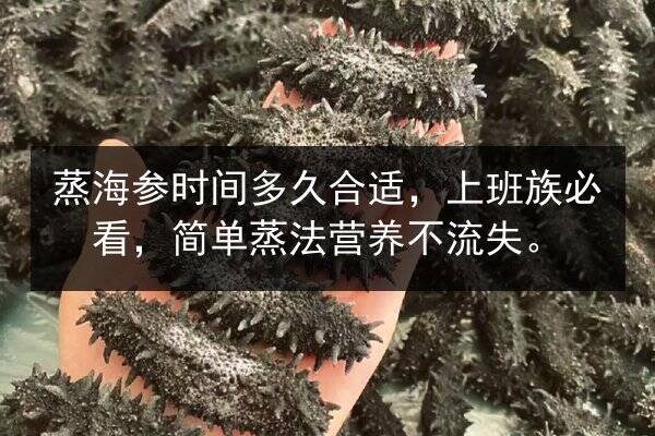 蒸海参时间多久合适，上班族必看，简单蒸法营养不流失。