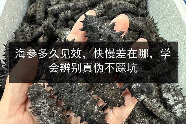 海参多久见效,快慢差在哪,学会辨别真伪不踩坑