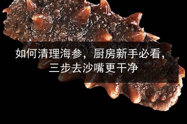 如何清理海参，厨房新手必看，三步去沙嘴更干净
