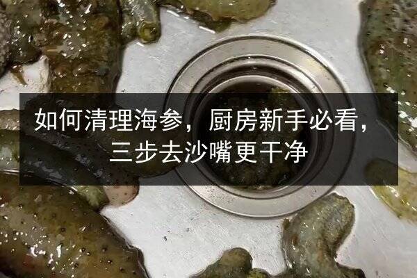 如何清理海参，厨房新手必看，三步去沙嘴更干净
