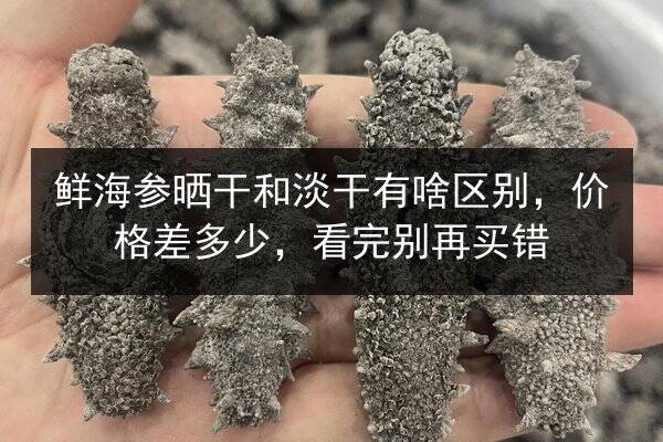 鲜海参晒干和淡干有啥区别，价格差多少，看完别再买错