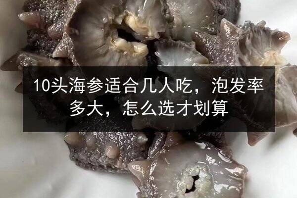 10头海参适合几人吃,泡发率多大,怎么选才划算