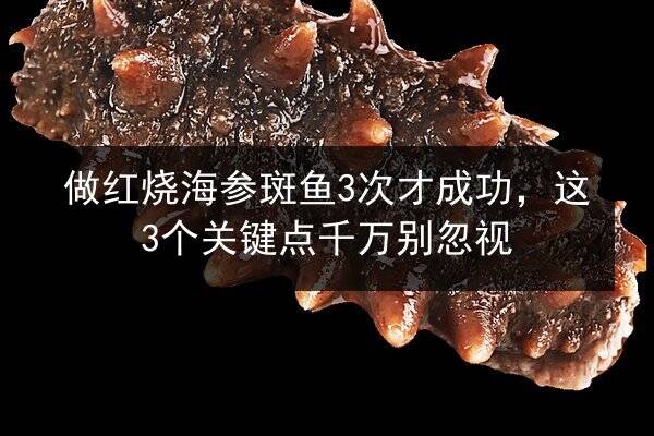 做红烧海参斑鱼3次才成功，这3个关键点千万别忽视
