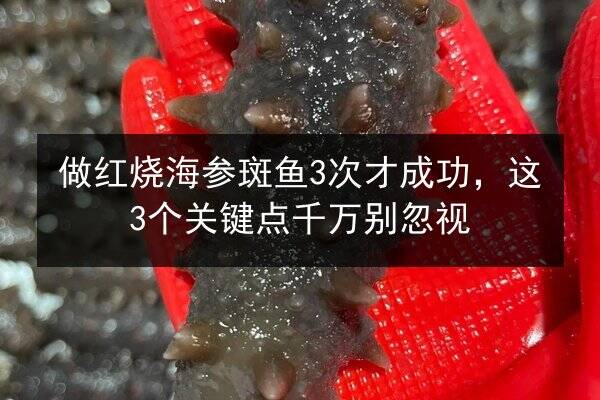 做红烧海参斑鱼3次才成功，这3个关键点千万别忽视