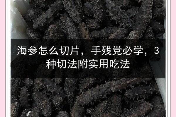 海参怎么切片,手残党必学,3种切法附实用吃法