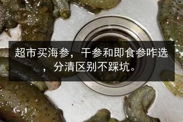 超市买海参,干参和即食参咋选,分清区别不踩坑。