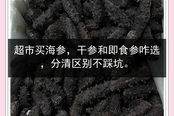 超市买海参,干参和即食参咋选,分清区别不踩坑。