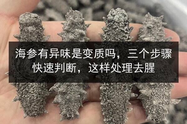 海参有异味是变质吗，三个步骤快速判断，这样处理去腥