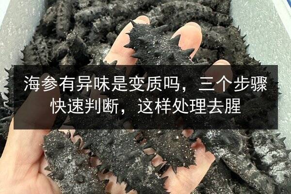 海参有异味是变质吗，三个步骤快速判断，这样处理去腥