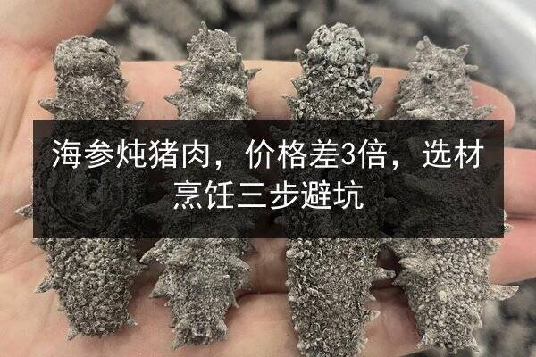 海参炖猪肉，价格差3倍，选材烹饪三步避坑